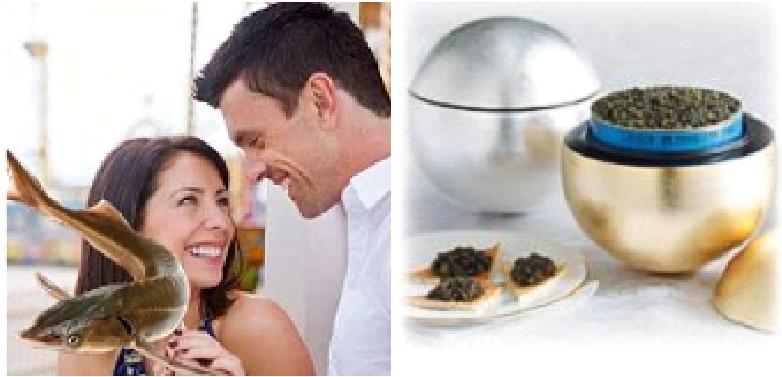 Toute l'année, des produits de grande tradition Petrossian Caviar et Produits d'Exception