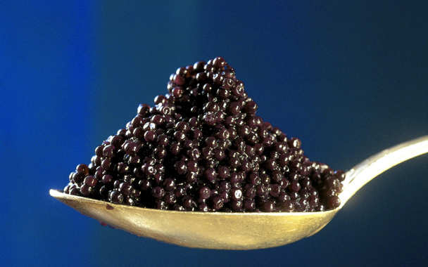 Toute l'année, des produits de grande tradition Petrossian Caviar et Produits d'Exception