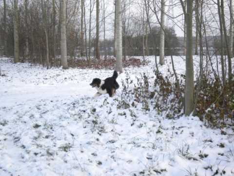 hebergeur image