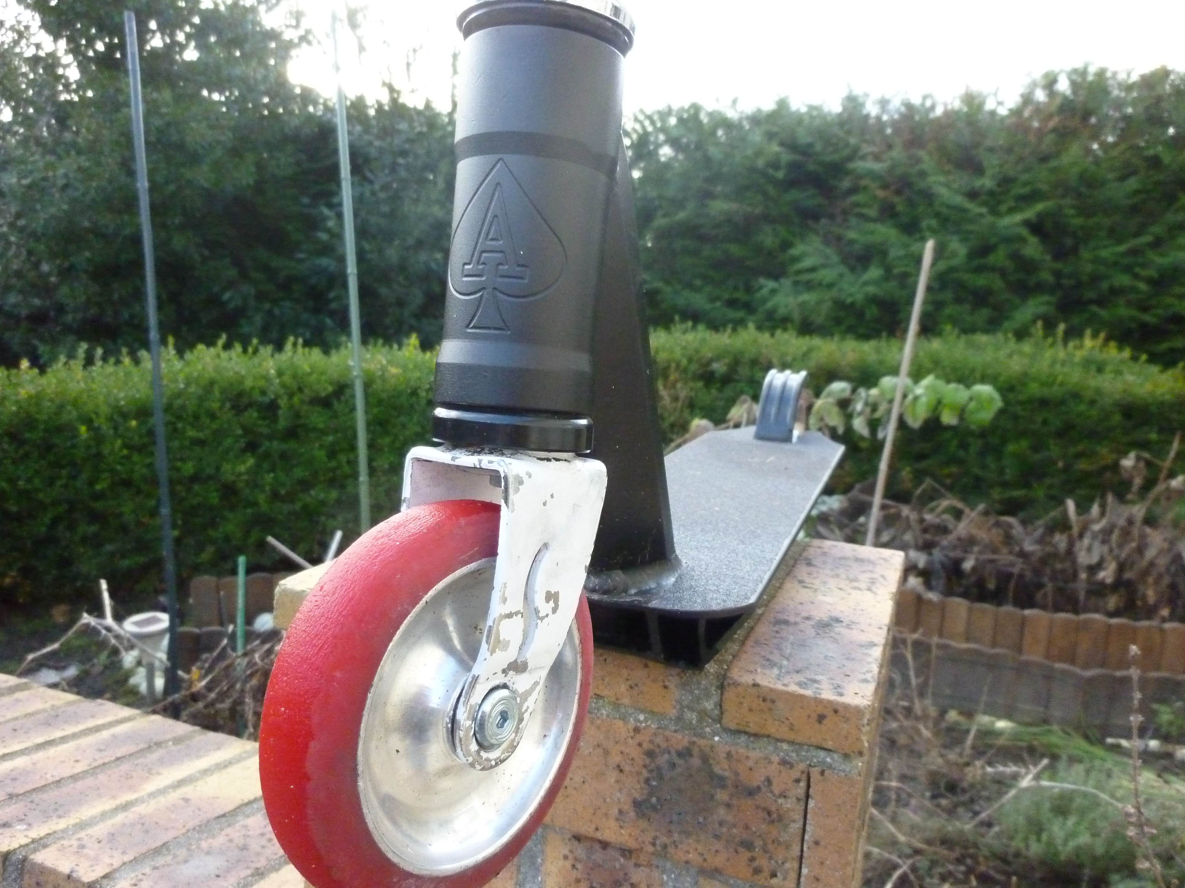 http://nsm05.casimages.com/img/2010/12/12//101212060415985677297279.jpg