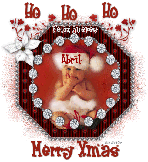 voir l'image en taille réelle