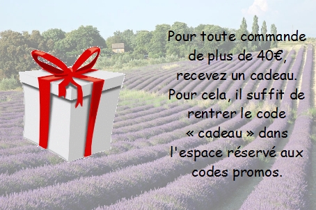 cadeau d&egrave;s 40&euro;