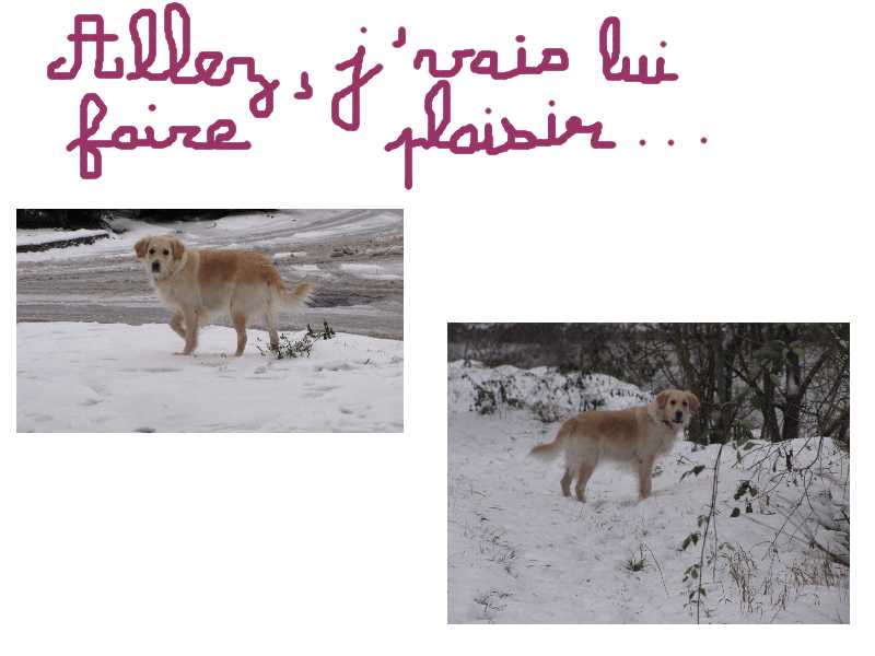 voir l'image en taille r�elle