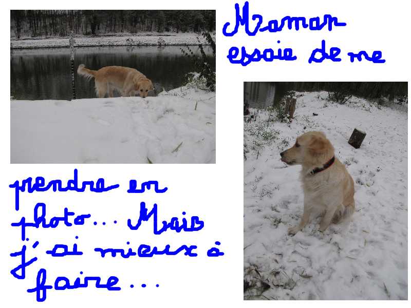 voir l'image en taille r�elle