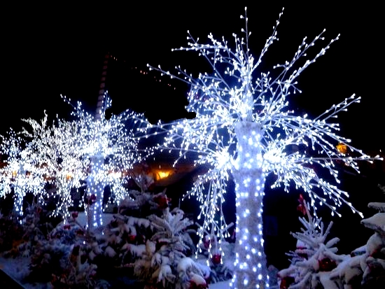 http://nsm05.casimages.com/img/2010/12/19/101219112425610797338625.jpg