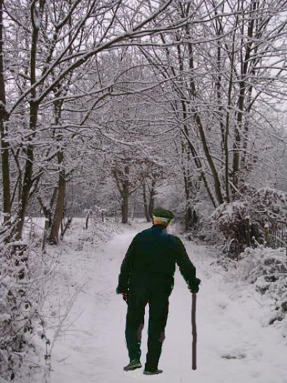 http://nsm05.casimages.com/img/2010/12/21/1012210542031041817347535.jpg