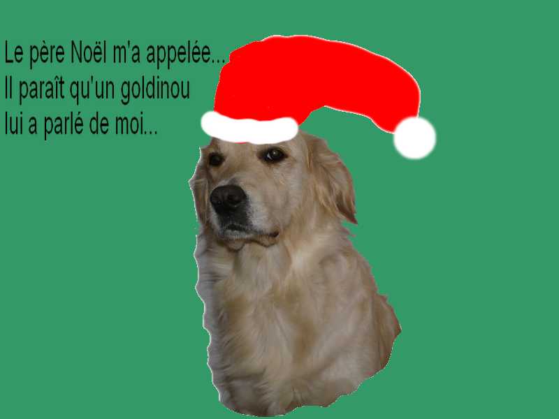 voir l'image en taille r�elle