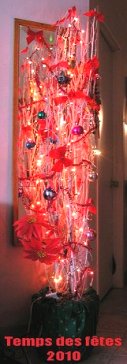 boulot de noel dany daniel gabriel 2010