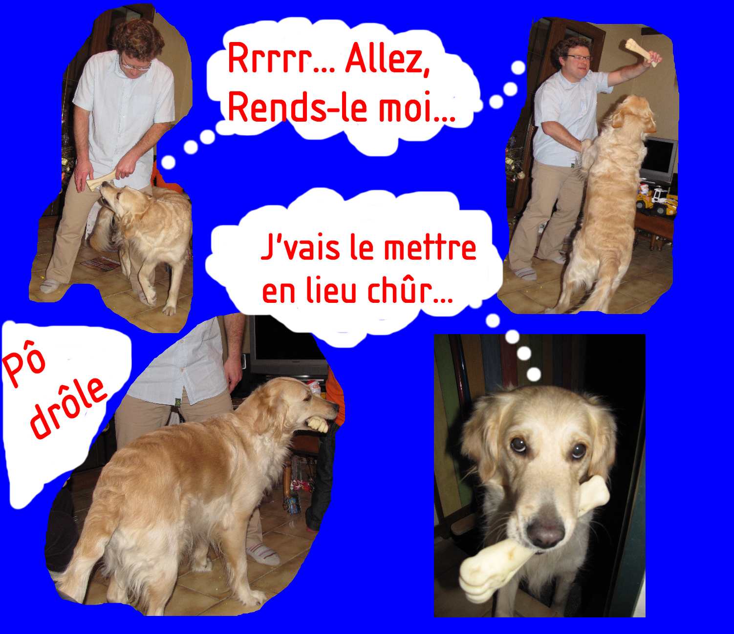voir l'image en taille r�elle