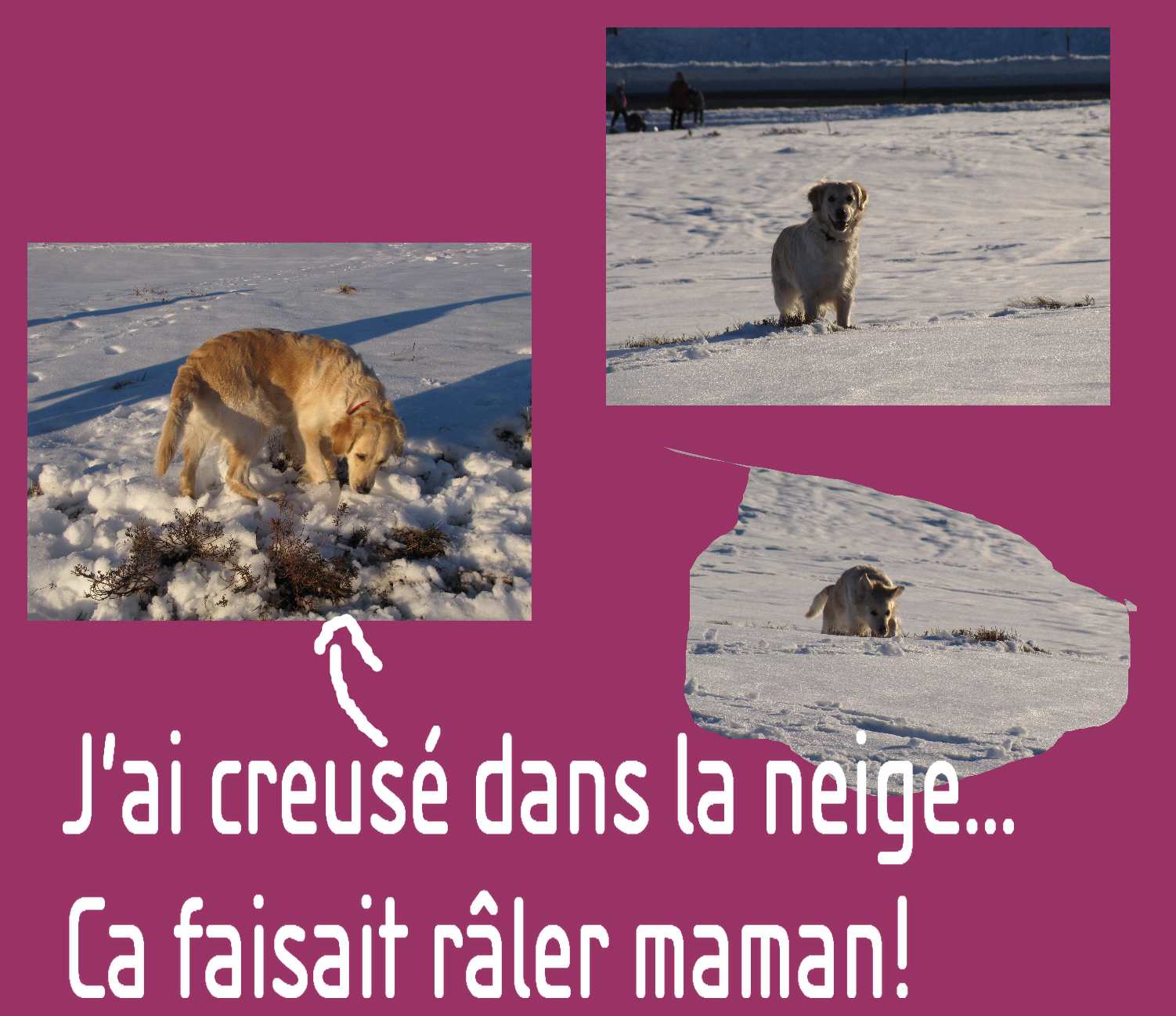 voir l'image en taille r�elle