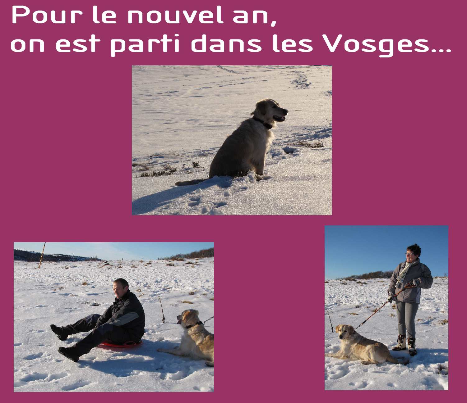 voir l'image en taille r�elle