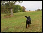 2009_10_02_03875