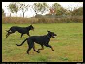 2009_10_02_03993