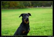 2009_10_26_00956