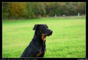 2009_10_26_00958