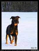 2009_12_20b.
