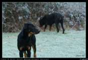2010_01_02
