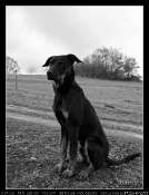 2010_01_17.