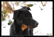 2010_02_12