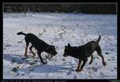 2010_02_14