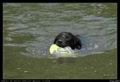 2010_06_30b