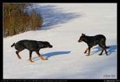 2010_12_25d