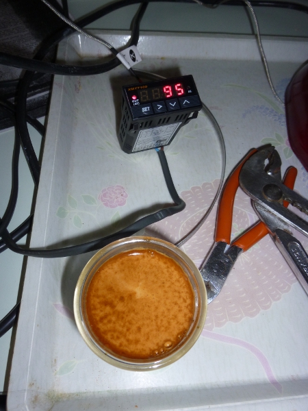 http://nsm05.casimages.com/img/2011/01/13/1101130342191233217463603.jpg