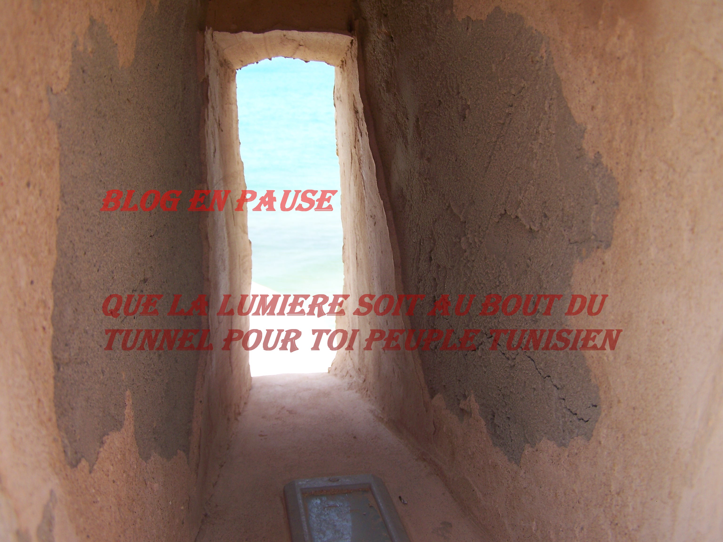 voir l'image en taille réelle