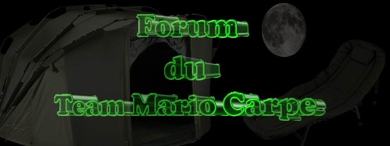 FORUM DU TEAM MARIO CARPE