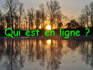 Qui est en ligne ?