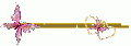 Nougatine122700474739_gros