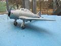 P 35.A seversky