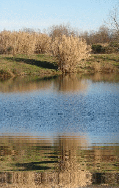 hebergeur image