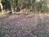 P220211_16.11_[01]