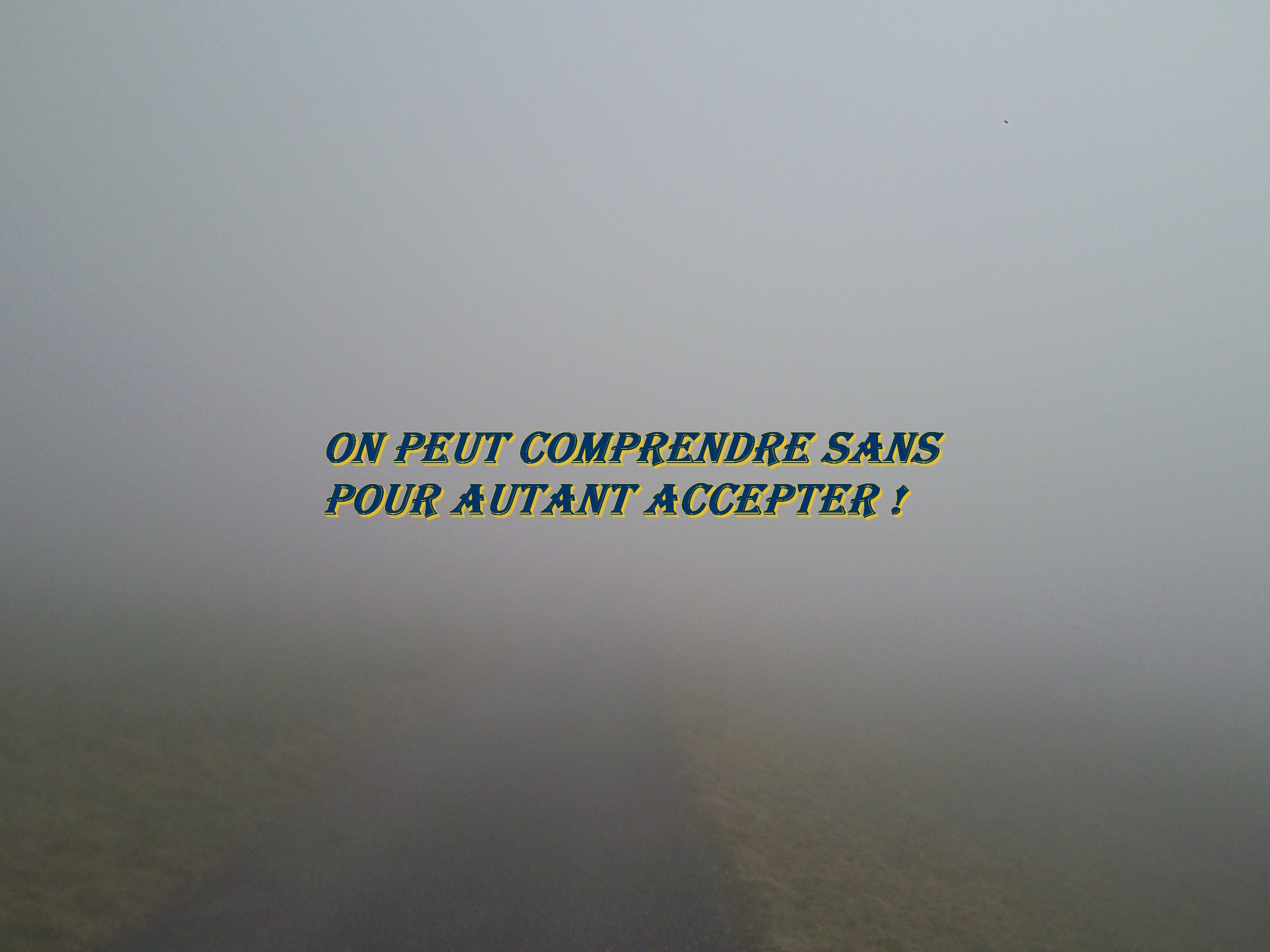 voir l'image en taille réelle