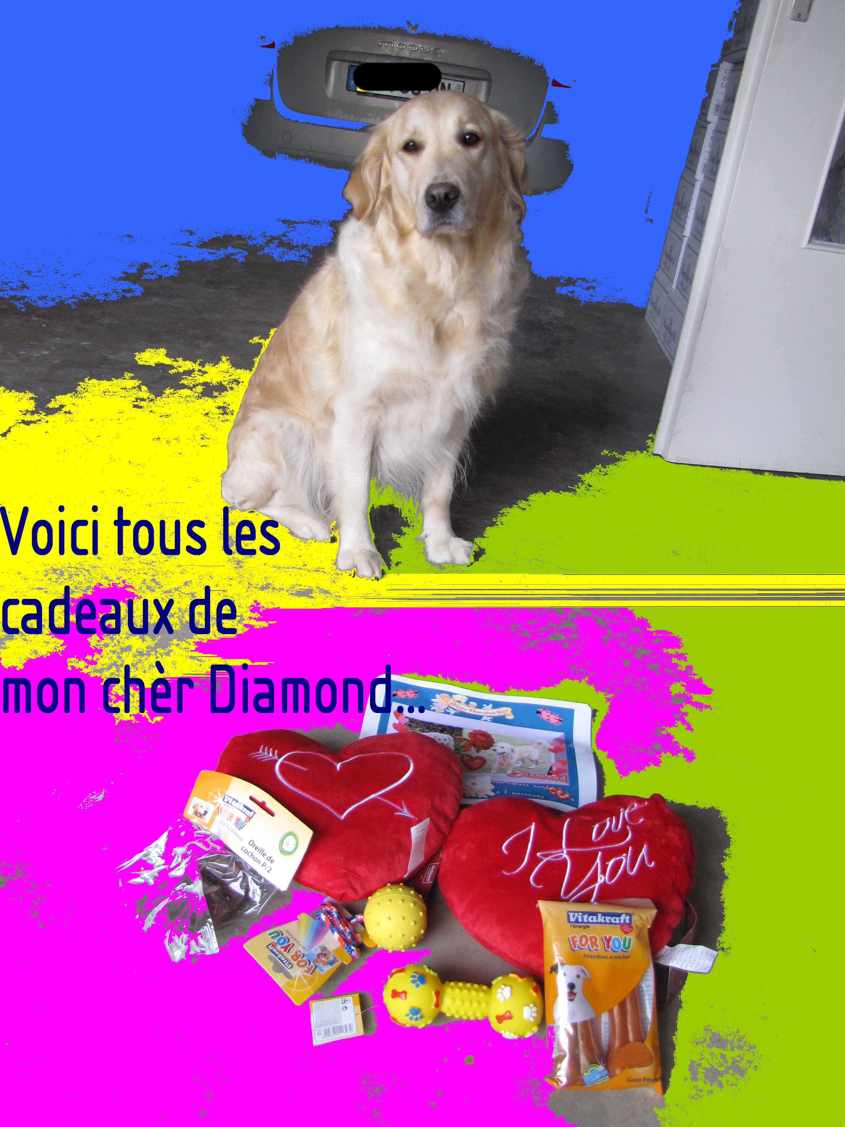 voir l'image en taille r�elle