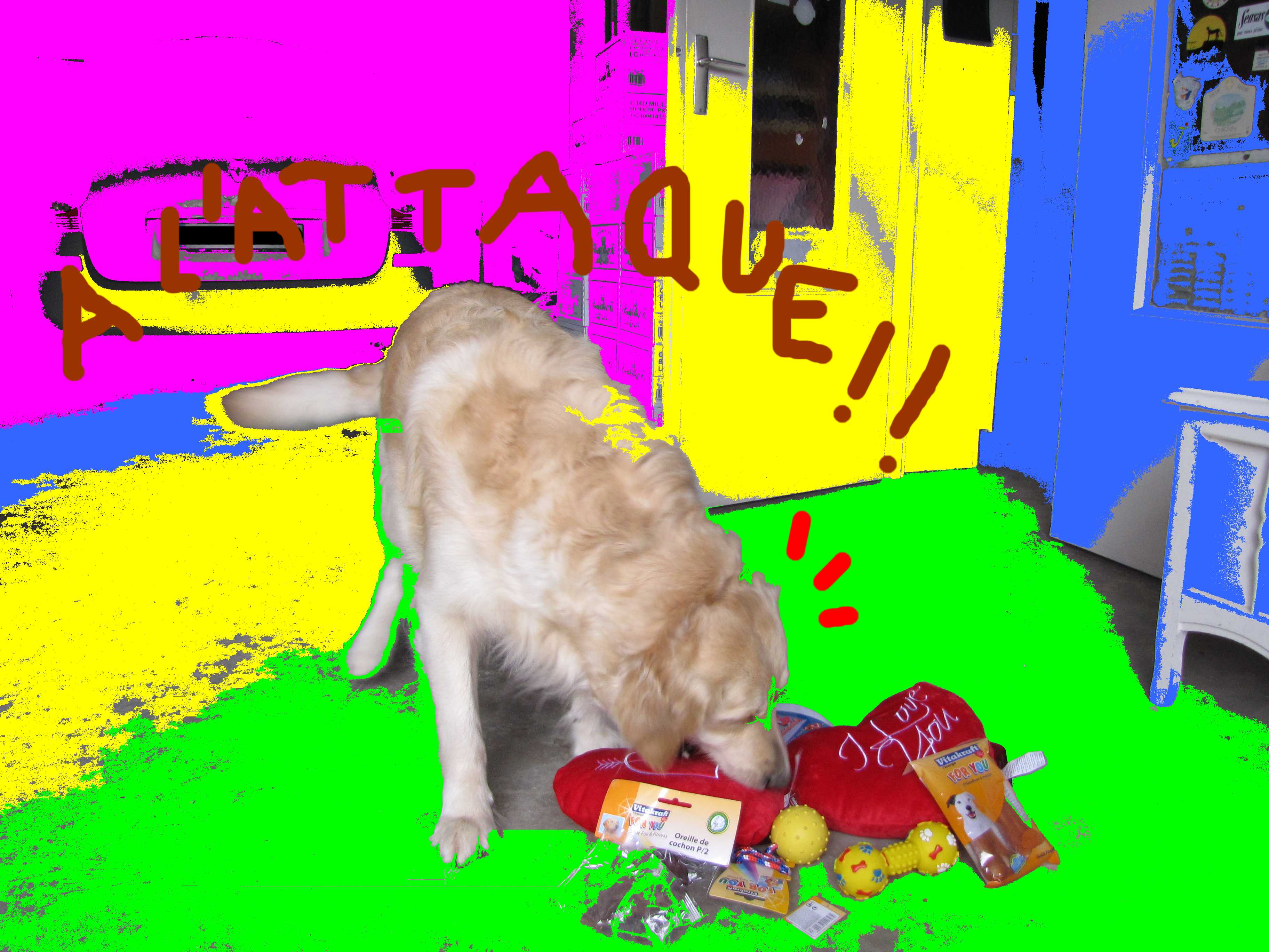 voir l'image en taille r�elle
