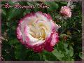Anniversaire