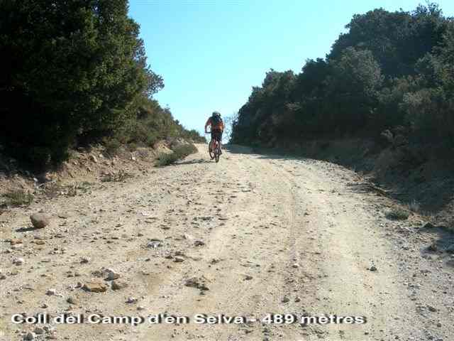 Coll del Camp d'en Selva - FR-66-0495