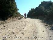 Coll del Camp d'en Selva