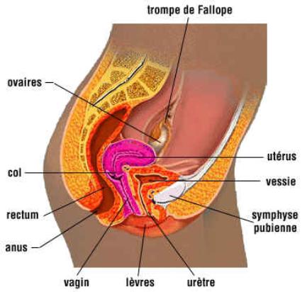 http://nsm05.casimages.com/img/2011/03/11//1103110638001007847799102.jpg