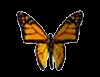 hebergeur image