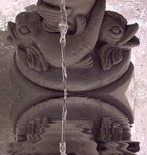 hebergeur image