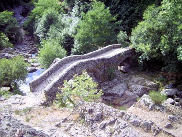 hebergeur image