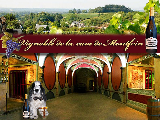hebergeur image