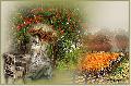 Hebergement gratuit d'image et photo