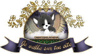 hebergeur image