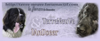 hebergeur image