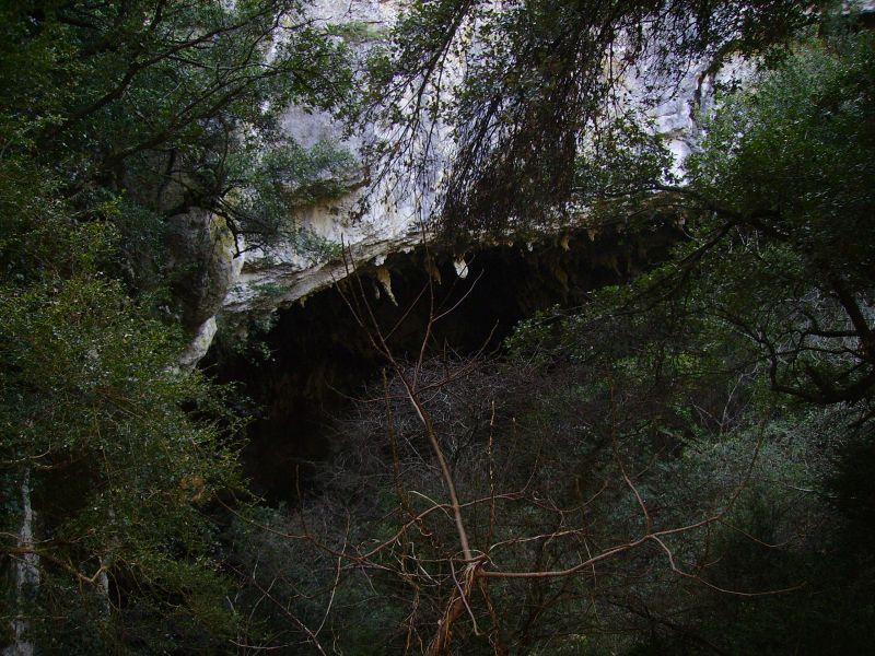 hebergeur image