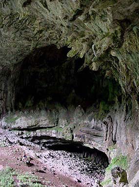 hebergeur image